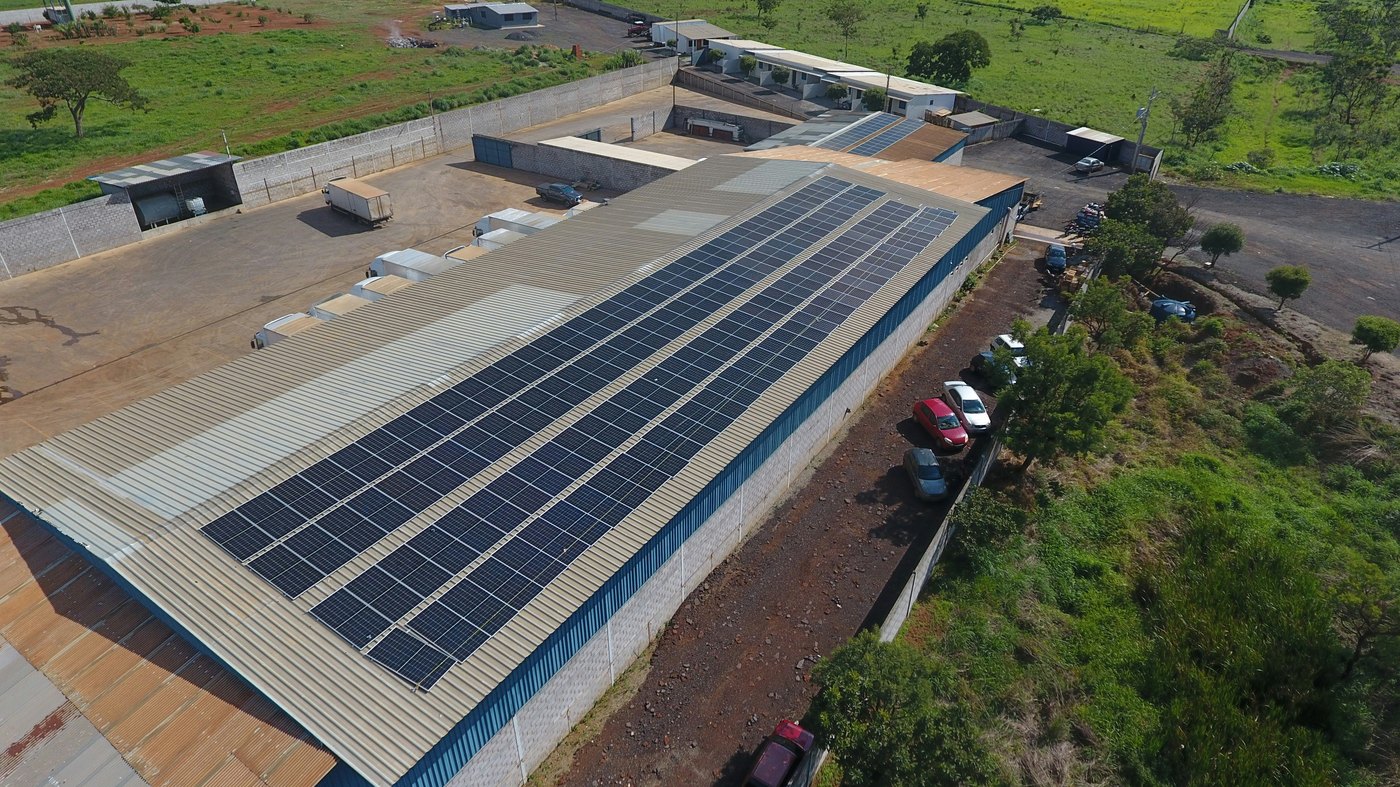 Factory roof with solar panels and surrounding greenery