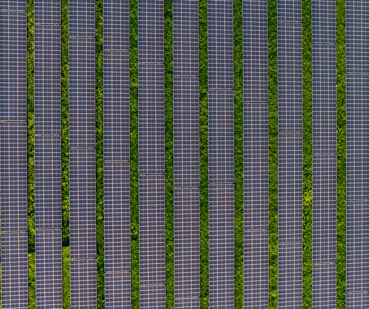 Aerial rows of solar panels surrounded by greenery